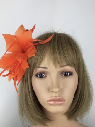 Handcrafted Orange Feather Fascinate