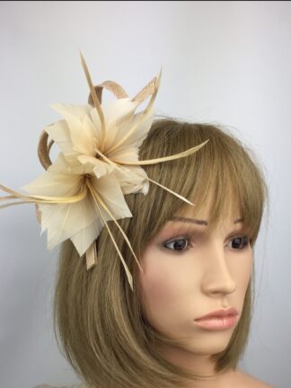 Elegant Champagne Feather Fascinator